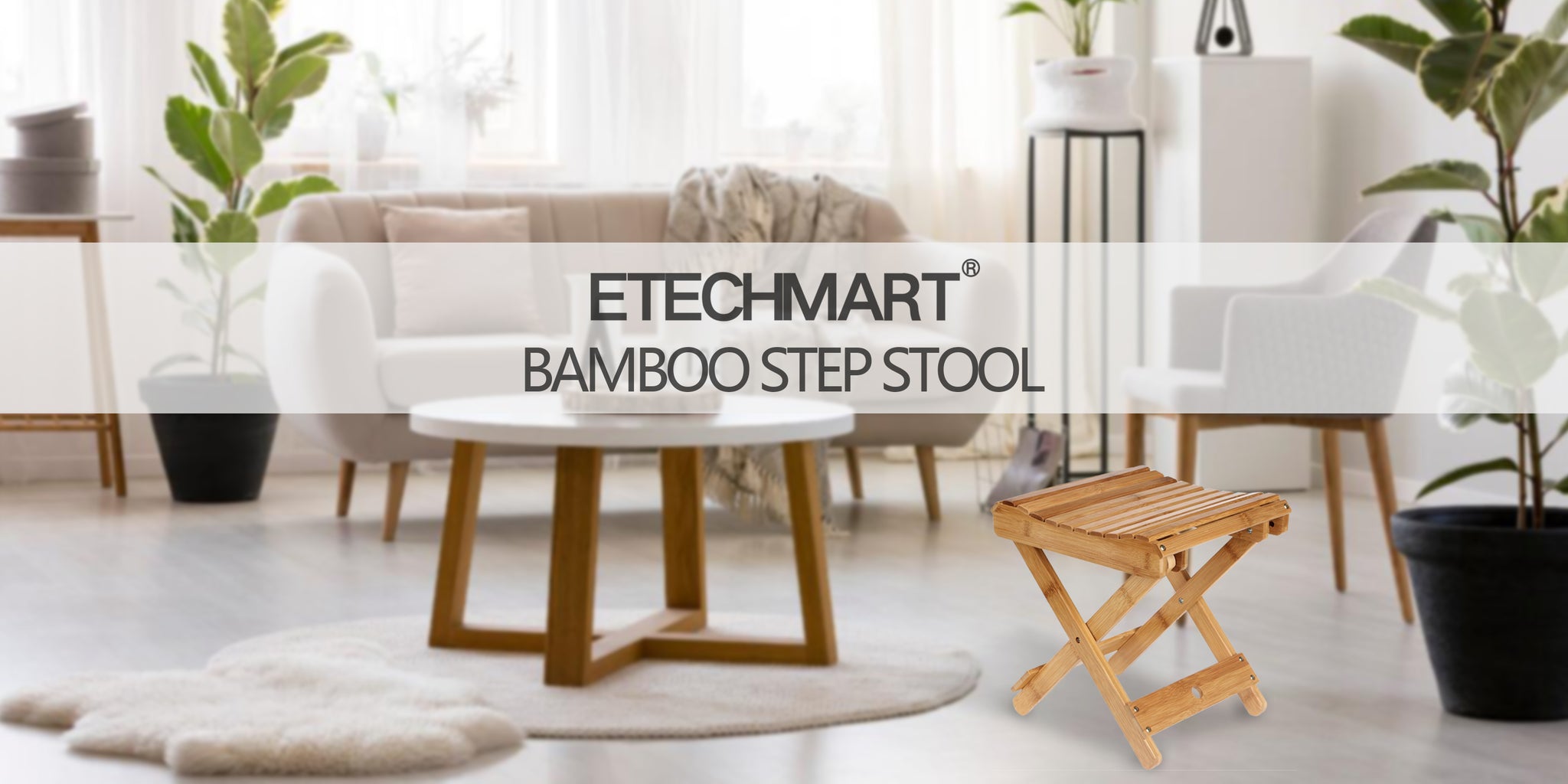 Bamboo Furniture: Is It Sustainable?