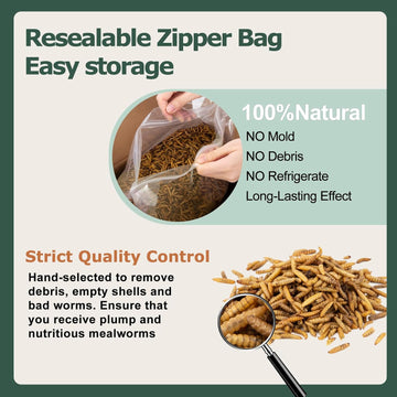 PeckPower 5LB Dried Black Soldier Fly Larvae for Chickens Birds